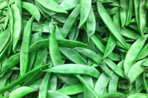 Fresh Flat Beans (ಚಿಕಡಿಕಾಯಿ) - Organically Grown