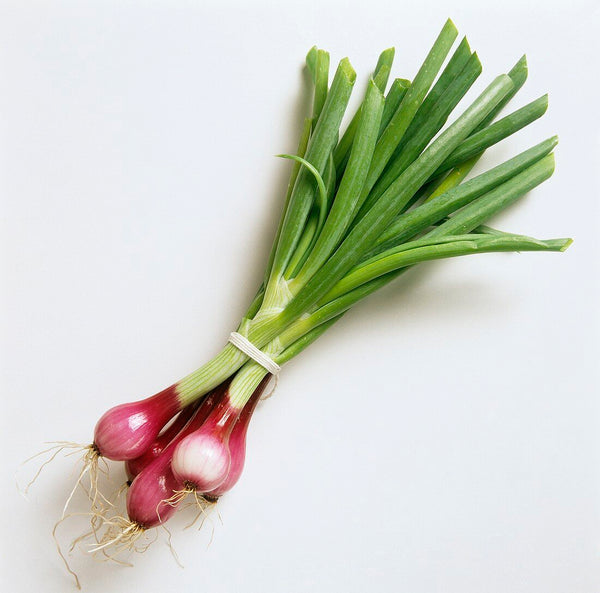 Fresh Spring Onion Bunch (ಈರುಳ್ಳಿ ಎಲೆ)  - Organically Grown (200 gms)