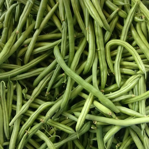 Fresh Ring-French Beans (ರಿಂಗ್ ಬೀನ್ಸ್) - Organically Grown